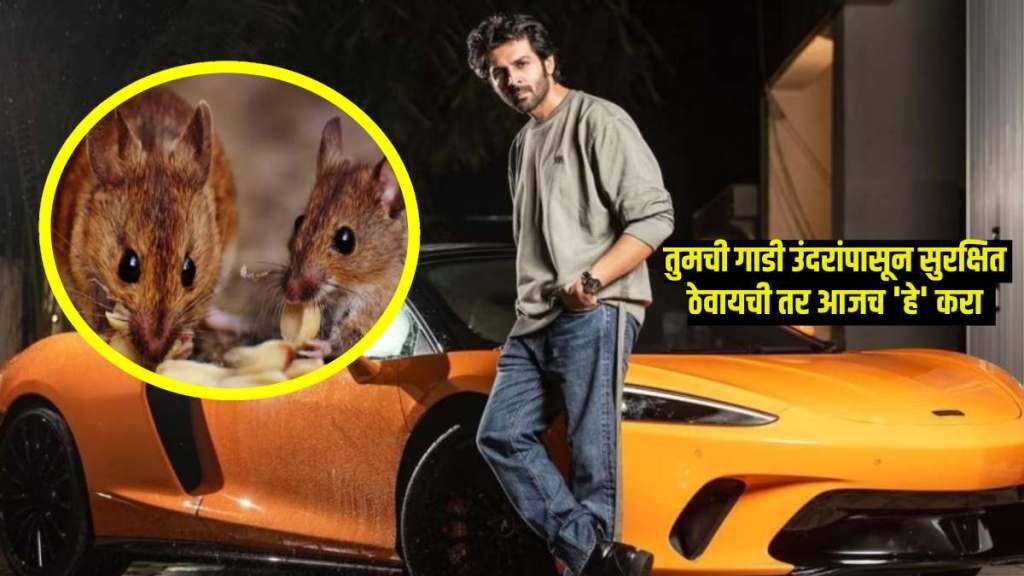car maintenance tips kartik aryan 4 crore mclaren gt damaged by rats tips to avoid rats in car Four ways rats can destroy your car