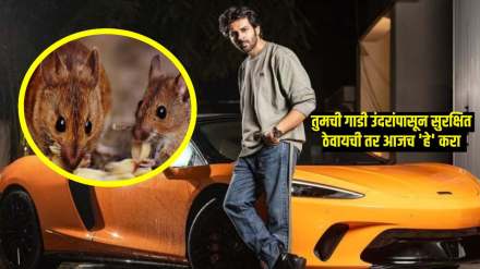car maintenance tips kartik aryan 4 crore mclaren gt damaged by rats tips to avoid rats in car Four ways rats can destroy your car