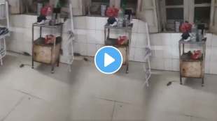 gwalior kamal raja hospital patients protect their newborns babies stay up all night rats