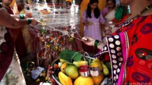 vat savitri vrat 2024 vat purnima in 21 june 2024 vat purnima important of 5 fruits mango karvanda Java plum jackfruit vat purnima scientific reason in marathi