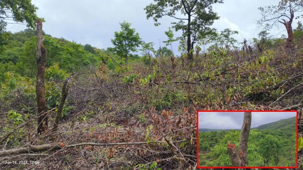 Sahyadri Tiger Reserve,