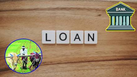 crop loan, farmers, Akola district,