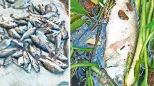 Uran, Patalganga river,