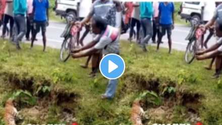 man went near the leopard