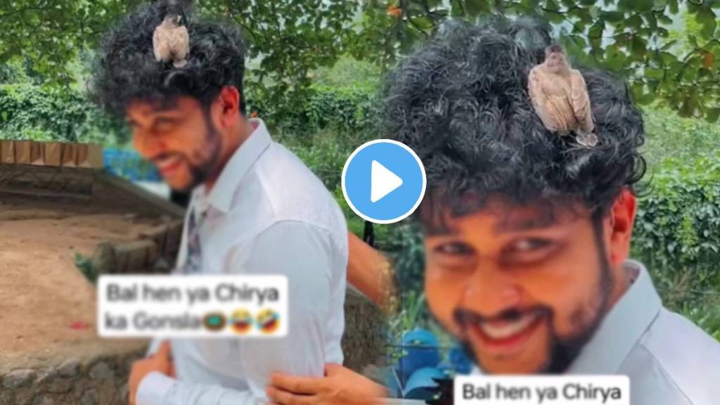 Bird Sitting On Man Frizzy Curly Hair bird confuse and finds warmth in his frizzy nest like hair watch funny viral video ones Bird Sitting On Man Frizzy Curly Hair bird confuse and finds warmth in his frizzy nest like hair watch funny viral video ones
