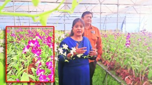 Loksatta lokshivar A successful experiment in orchid farming