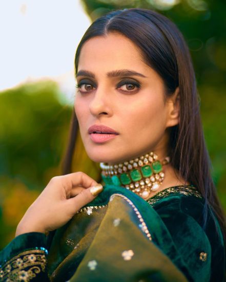 Priya Bapat Pink Saree