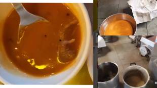 Dead Rat Found In Sambar in Gujrat Hotel