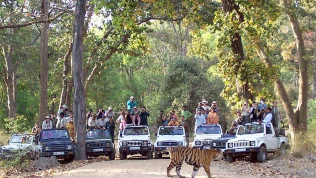 Tiger Safari in Chandrapur like Singapore Visit of 15 senior officers of Forest Department to Singapore and Dubai Tiger Safari in Chandrapur like Singapore Visit of 15 senior officers of Forest Department to Singapore and Dubai