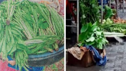 vegetables and fruits for sale in markets of Badlapur Ambernath and surrounding areas