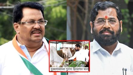 Vijay Wadettivar on Eknath Shinde drought Vijay Wadettivar on Eknath Shinde drought