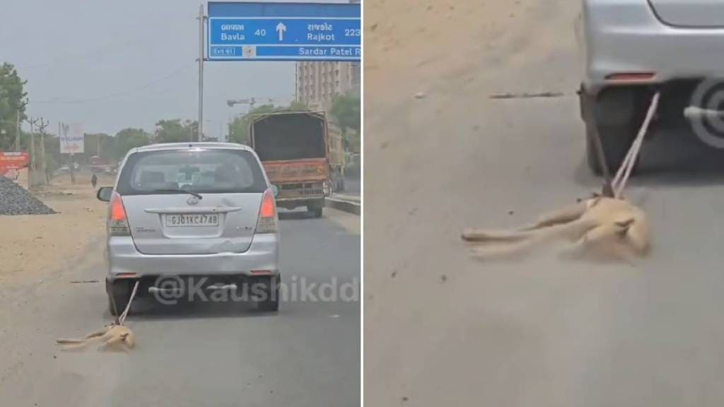 Viral Video Dead Stray Dog Tied To car