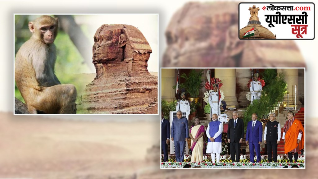 Ancient Egyptian and Indian trade