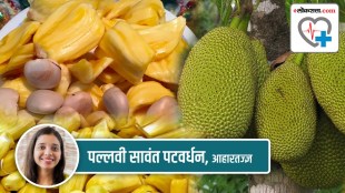Jackfruit, Health, Health Special,