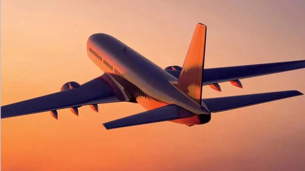The birds blocked the flight path so the service at Pune airport was affected Pune