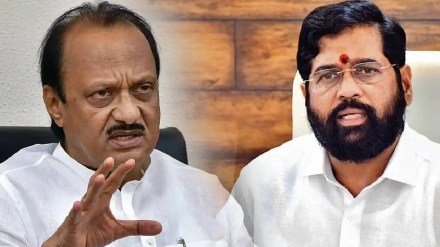 Loksatta anvyarth Deputy Chief Minister Ajit Pawar expressed opinion that the Grand Alliance has suffered losses in the elections due to the onion issue