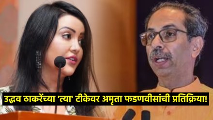 amruta fadnavis uddhav thackeray