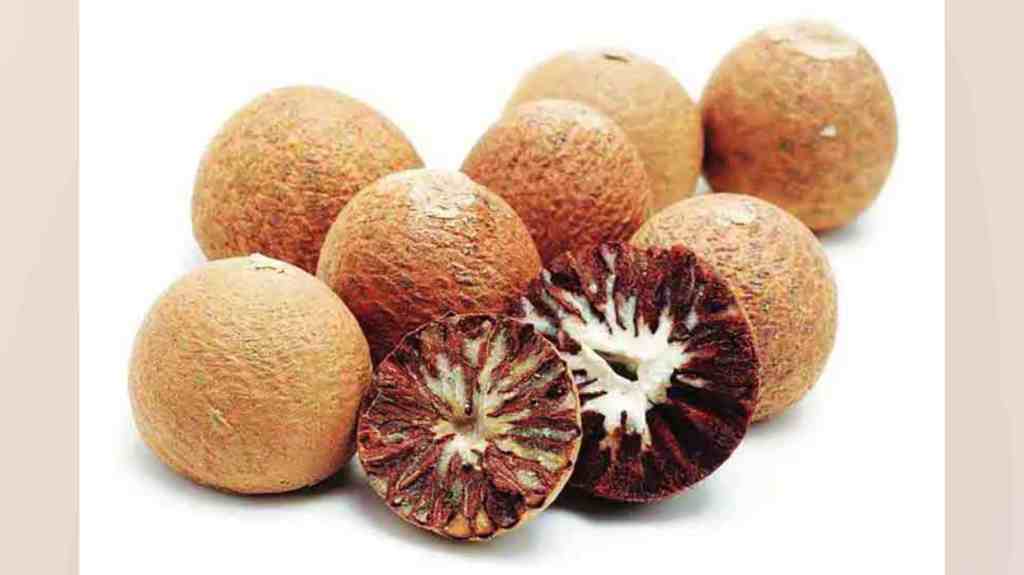 Customs Seize 300 Tonnes of Smuggled Betel Nuts, Rs 15 Crore, Nhava Sheva Port, Smuggled Betel Nuts, Smuggled Betel Nuts at Nhava Sheva Port, Mumbai news,