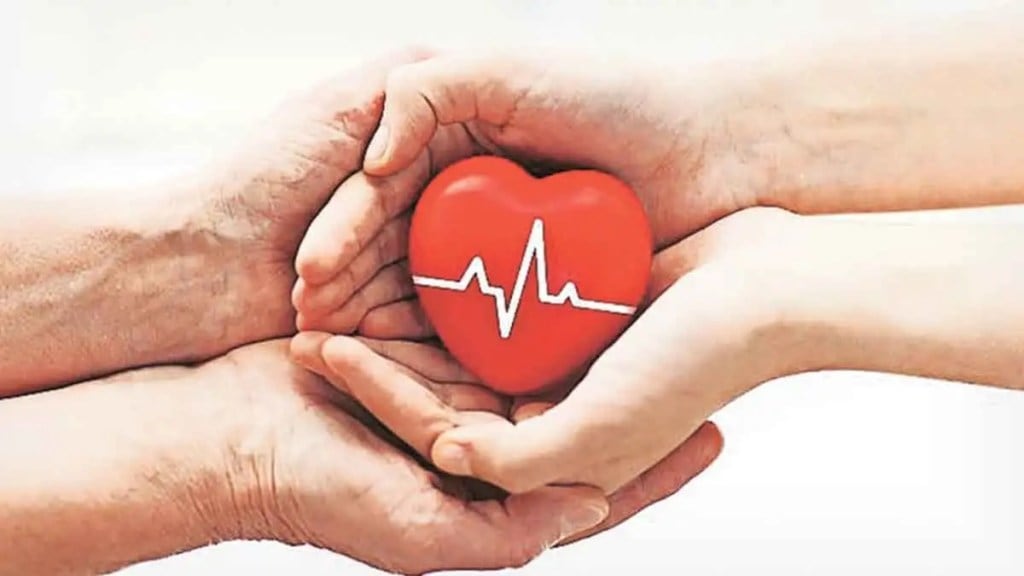 brain dead organs donate marathi news brain dead organs donate marathi news