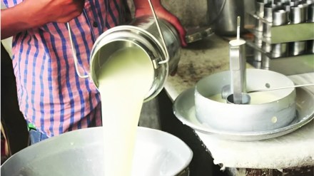 pune milk price 40 rupees