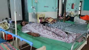 alibag Bee attack during funeral rites