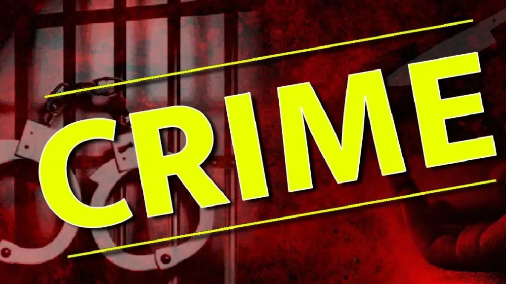 Loksatta editorial Horrific Murder In Vasai Boyfriend Stabs Girlfriend To Death With Iron Spanner