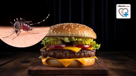 eating insects and bus healthy