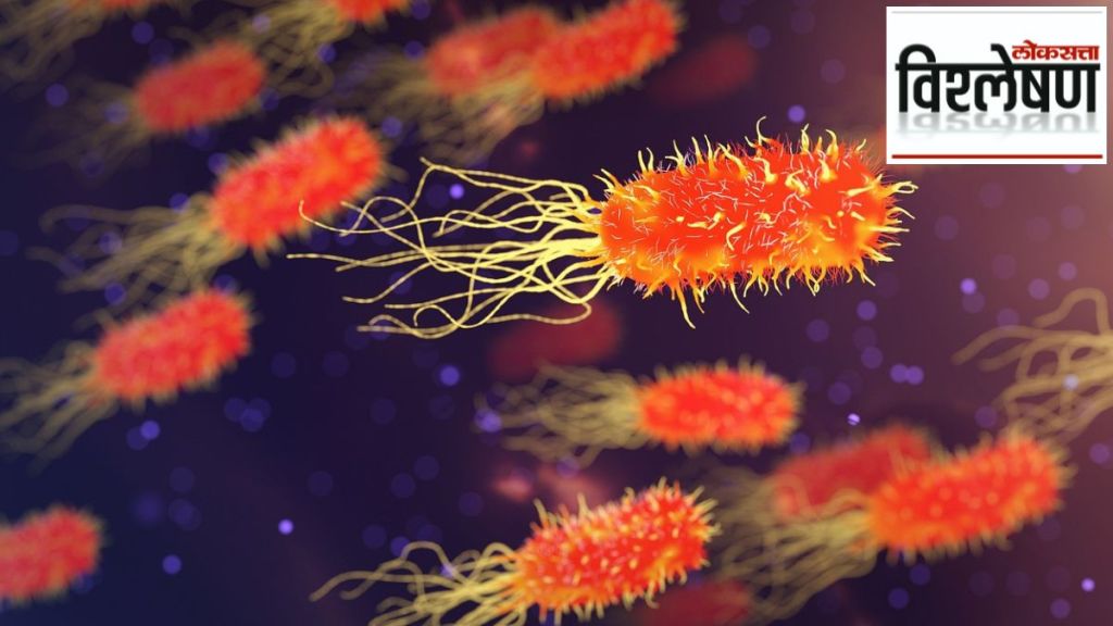 flesh eating bacteria in japan flesh eating bacteria in japan