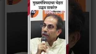 "आमच्या महाविकास आघाडीचा चेहरा...", मुख्यमंत्रिपदाबाबत उद्धव ठाकरेंचं विधान | Uddhav Thackeray