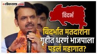 BJP hit in Vidarbha what is the reason