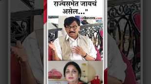 MP Sanjay Raut reaction on Sunetra Pawars in discussion for Rajya Sabha