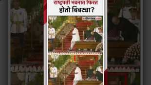 leopard walking around the Rashtrapati Bhavan during the swearing in ceremony
