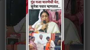 Sunetra Pawars reaction on meeting Nilesh Lanke and Gund Gaja Marne in pune