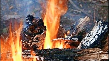 Artificial Intelligence on Fire