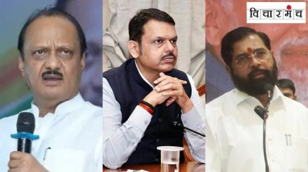 The failure of mahayuti in the Lok Sabha elections in Maharashtra due to fake promises The failure of mahayuti in the Lok Sabha elections in Maharashtra due to fake promises