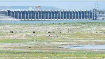 mumbai water supply dams 5 percent Capacity, Low Rainfall in dam area, Water Shortage Concerns for Mumbai, Low Rainfall in mumbai water suuply dams, Mumbai news, water news