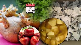 How To Avoid Potatoes Sprouts Money Saving Kitchen Jugaad