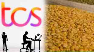 Sell Tur Buy TCS share, prediction of good returns in tcs, may decrease in tur price, Strategic Investment, Strategic Investment in Sell Tur Buy TCS share, tcs promising returns, share market, commodity market, decrease in tur price, finance article, marathi finance article, tcs share,