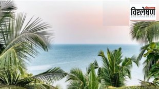 Great Nicobar island development project raises concerns for environment