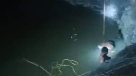 three nilgai dies after fell into well