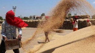 state government canceled Agricultural Produce Market Committees decision to reduce Sess on transactions