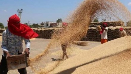 state government canceled Agricultural Produce Market Committees decision to reduce Sess on transactions