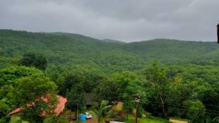 Kokan Forest