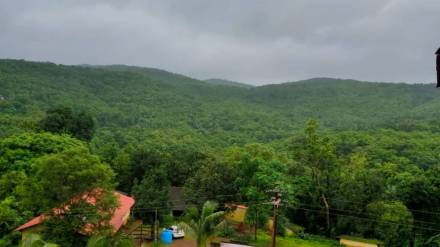 Kokan Forest