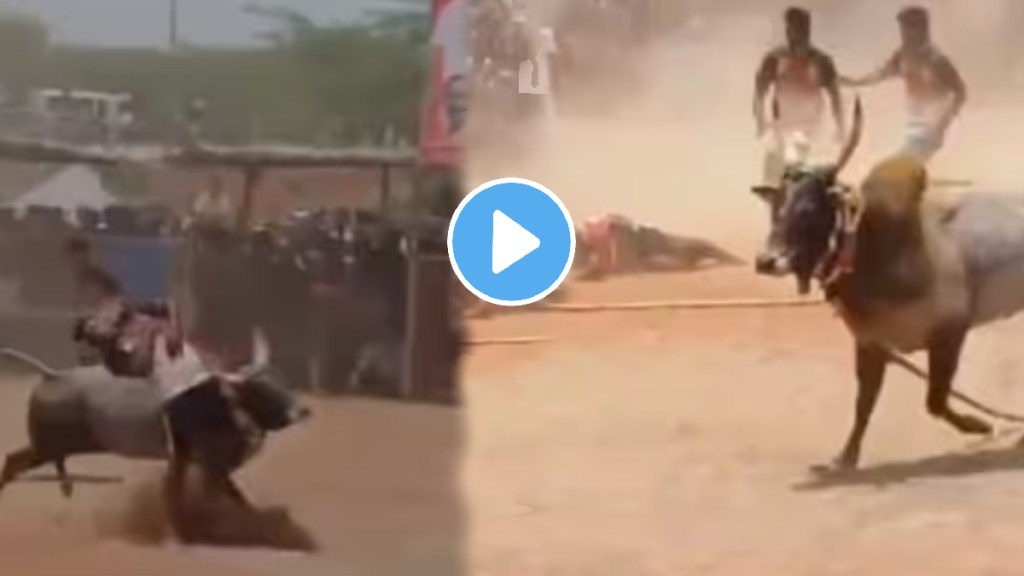 Shocking video Man dies after bull jabs horn into his chest during taming event in Tamil Nadu