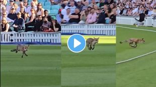 Fox Vitality T20 Blast Viral Video