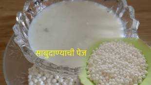 How To Make Sabudana Or Sago Pej for fasting Not Down The Marathi Recipe and try ones at your home note down fast