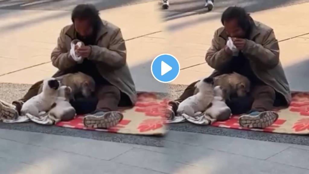 kindness matters Person chose to share their food or love with furry dog friends Watch Heartwarming Viral Video Ones kindness matters Person chose to share their food or love with furry dog friends Watch Heartwarming Viral Video Ones