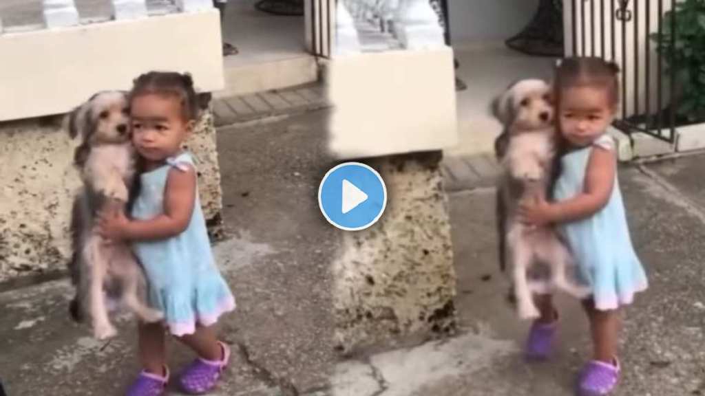 The little girl picked up the dog