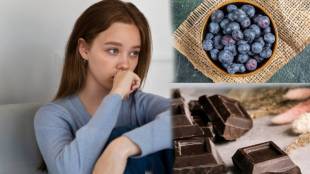 Stress Relieving Foods Eat These Seven Foods to Reduce Stress and Anxiety Check Out List And Follow In daily Routine